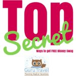 Top Secret Ways to Get FREE Disney Swag