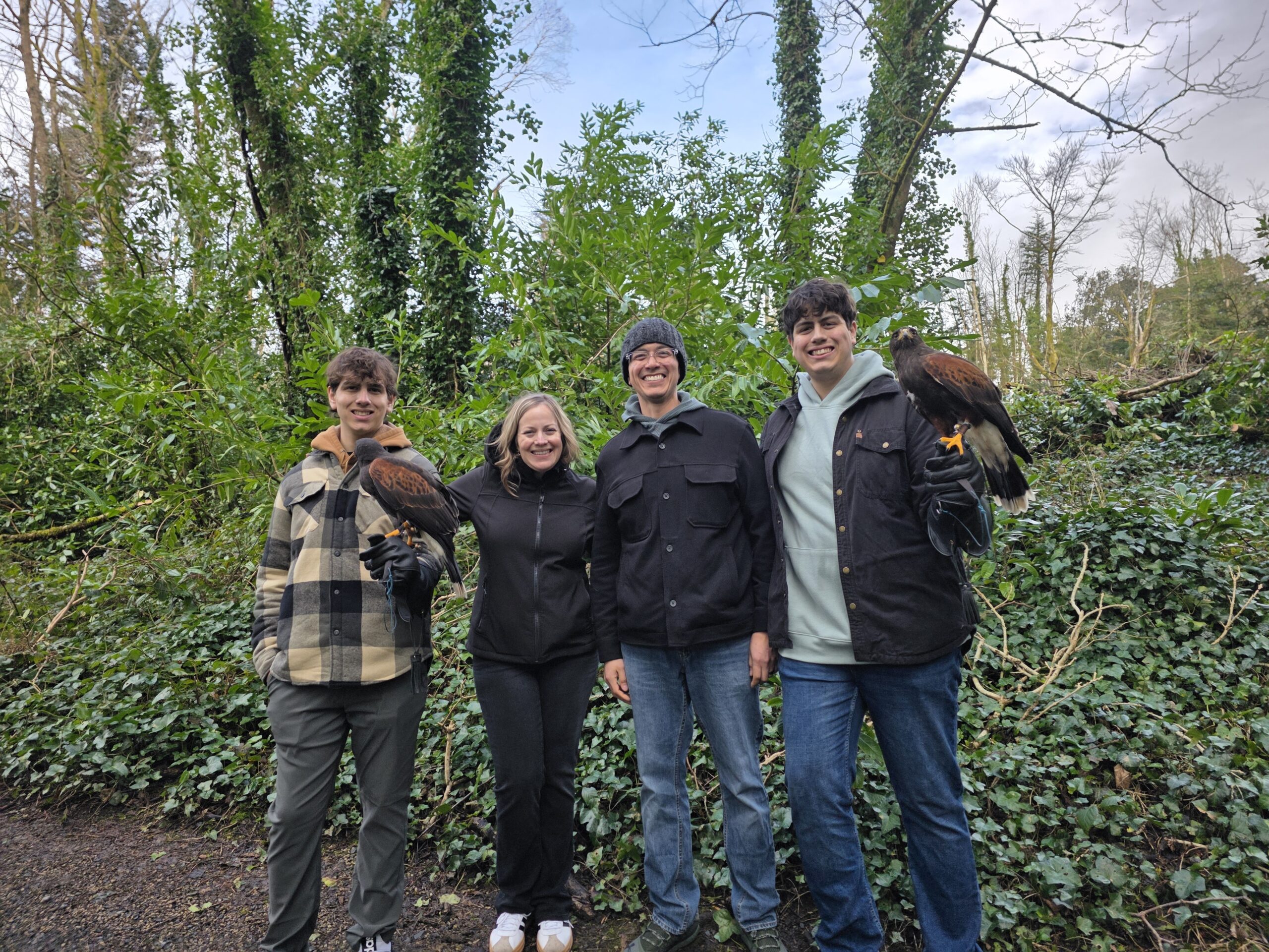 Flying hawks during our stay at Ashford Castle Ireland