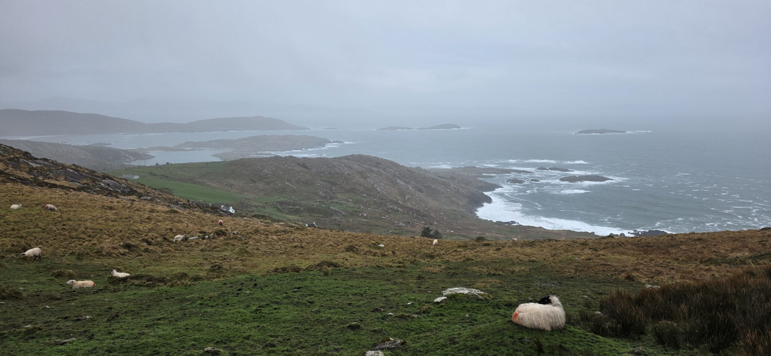 Driving the Ring of Kerry