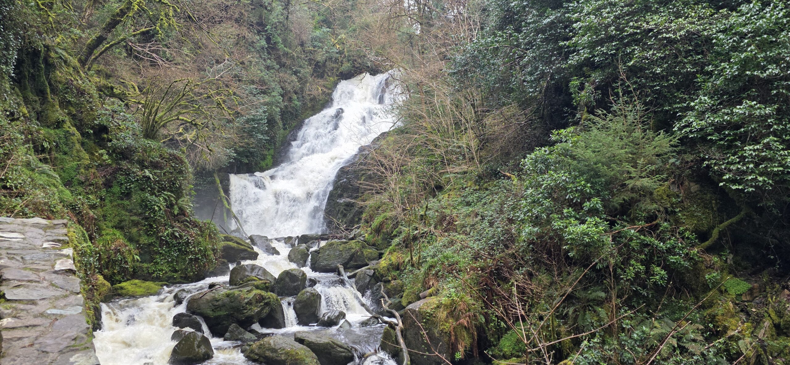 Driving the Ring of Kerry