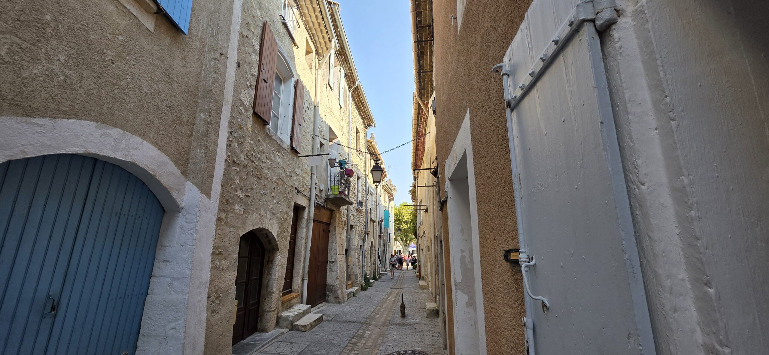 Scenic Sapphire luxury river cruise on the Rhone river